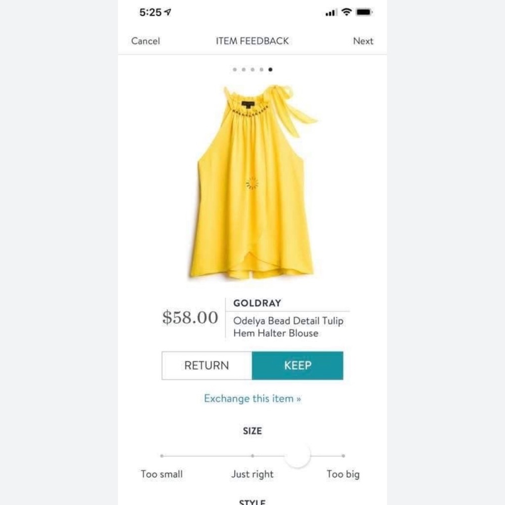 Gold Ray top from Stitch Fix NWT
